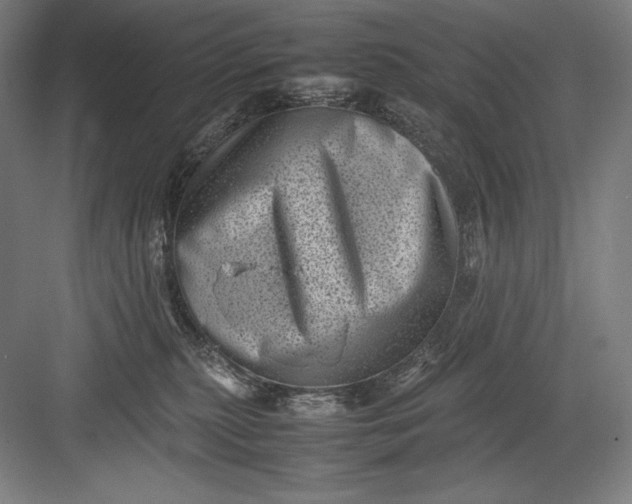 X0000082990279200702160031