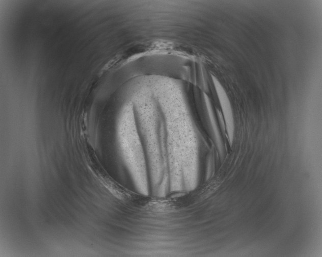 X0000082990280200702160031