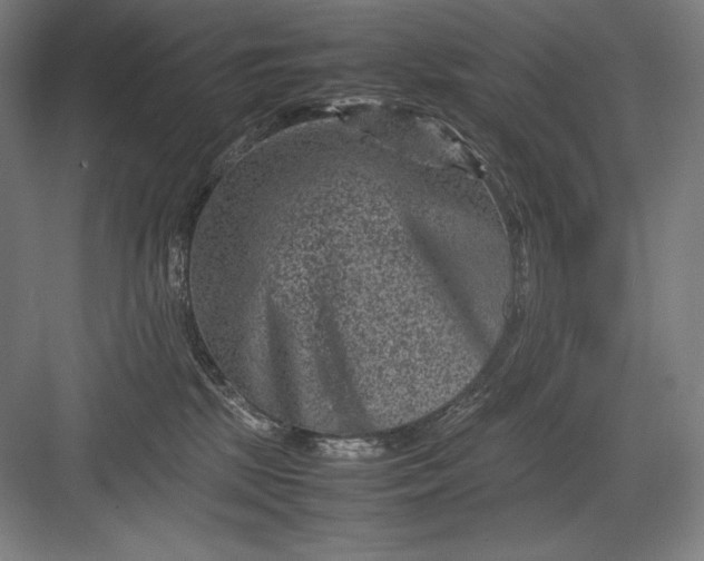 X0000082990281200702160031