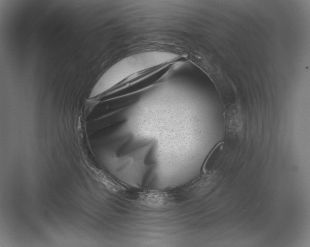 X0000082990282200702160031