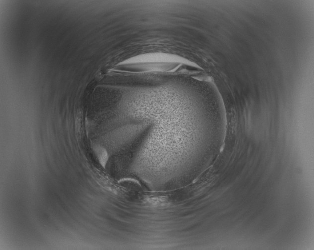 X0000082990283200702160031