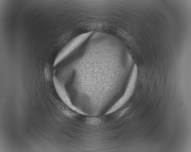 X0000082990287200702160031