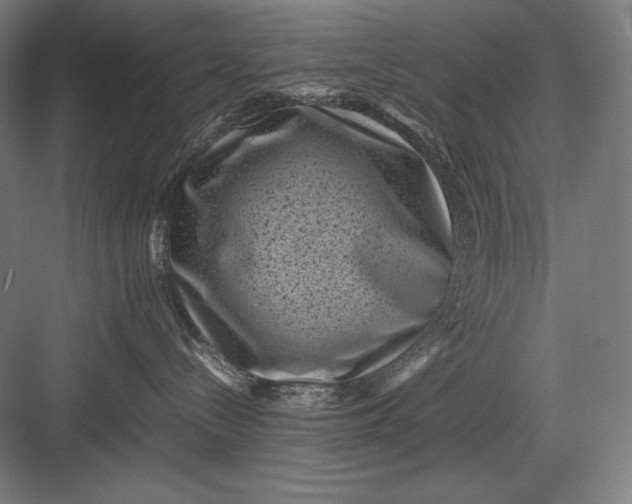 X0000082990288200702160031