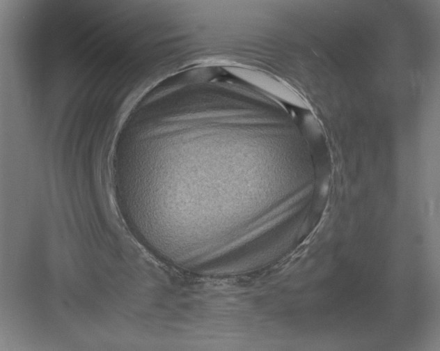 X0000082990289200702160031