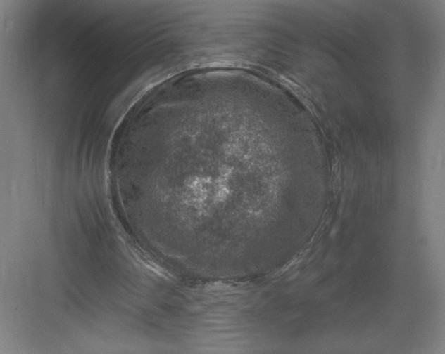 X0000082990290200702160031