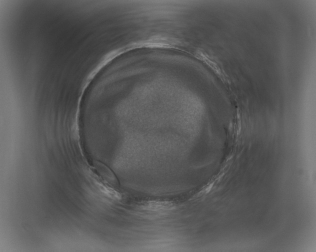 X0000082990292200702160031