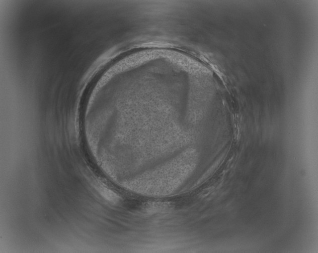 X0000082990296200702160030