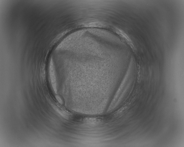 X0000082990298200702160030