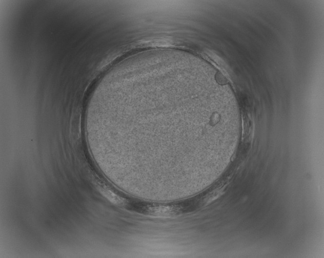 X0000082990301200702160030