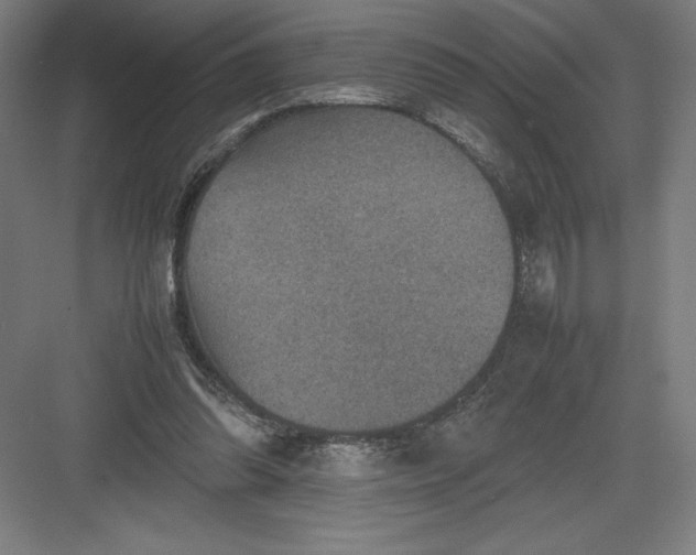 X0000082990302200702160030