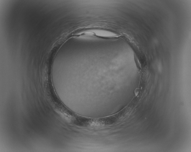 X0000082990303200702160030