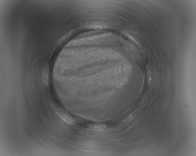 X0000082990304200702160030