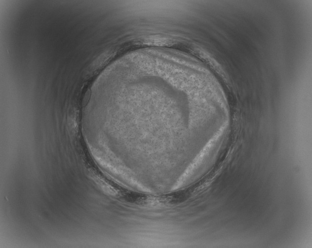 X0000082990305200702160030