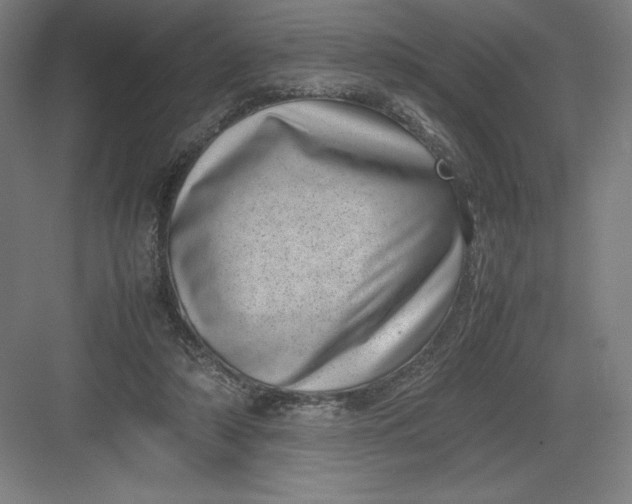 X0000082990306200702160030