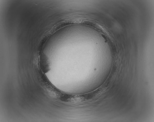 X0000082990307200702160030