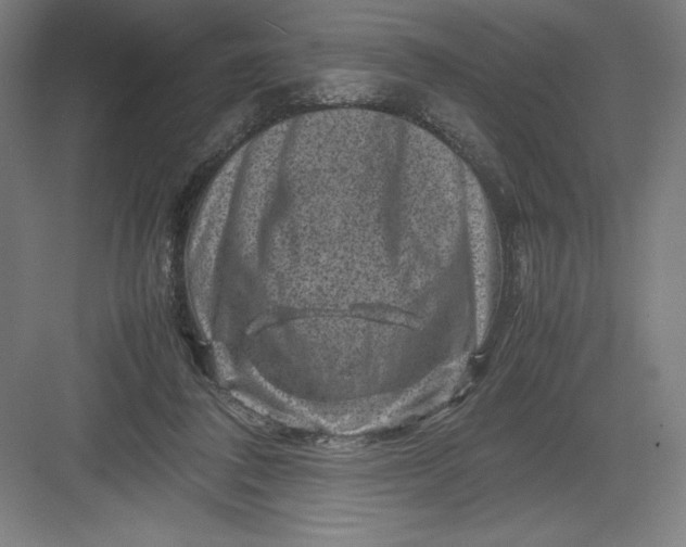 X0000082990308200702160030