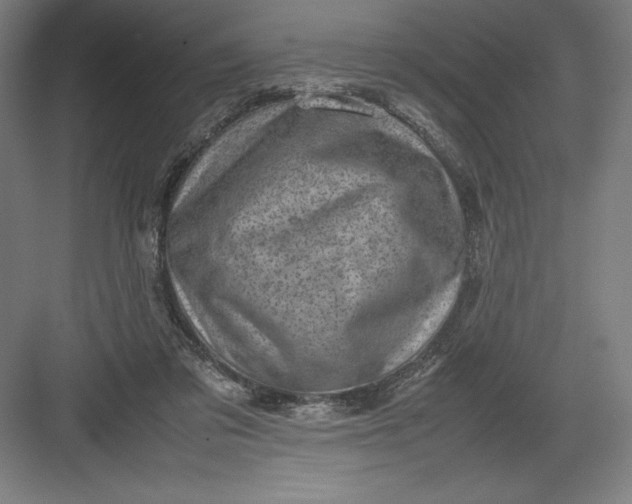 X0000082990309200702160030