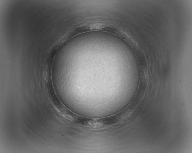 X0000082990311200702160030