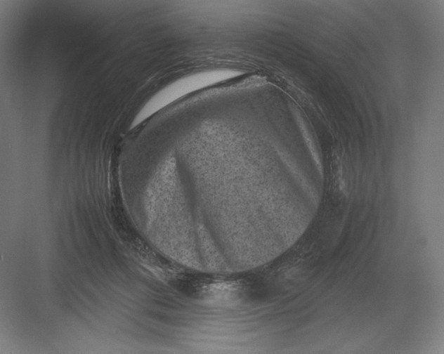 X0000082990312200702160030