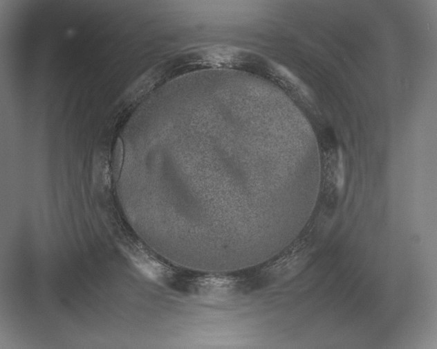 X0000082990313200702160030