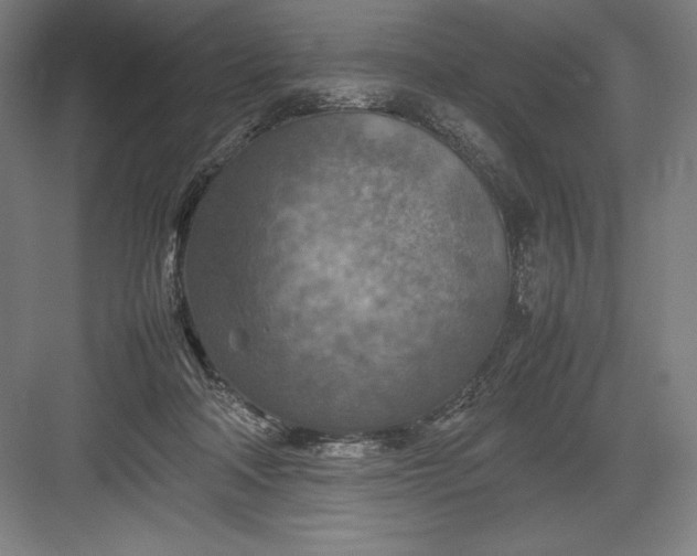 X0000082990314200702160030