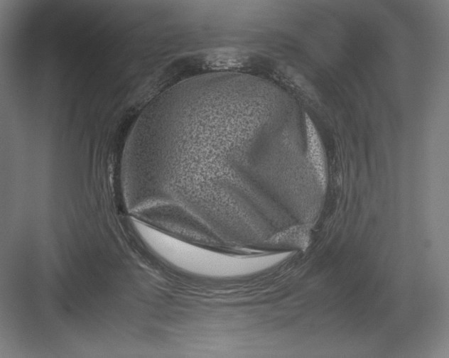 X0000082990315200702160030