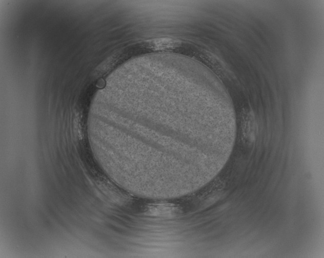 X0000082990316200702160030