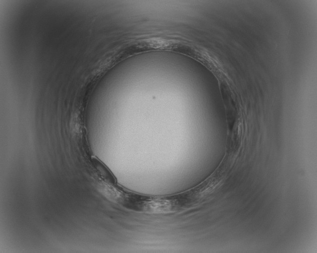 X0000082990317200702160030