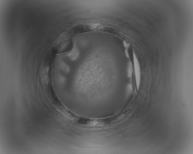 X0000082990319200702160030