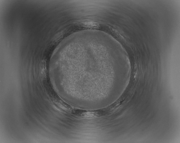 X0000082990320200702160030