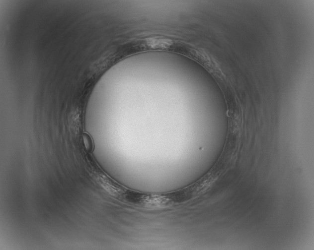 X0000082990321200702160030