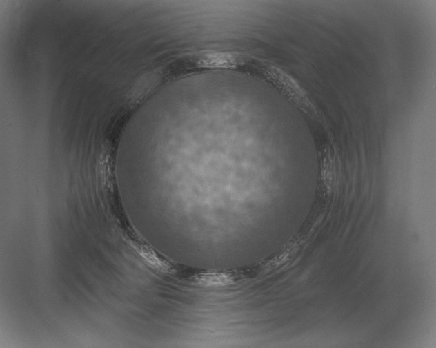 X0000082990322200702160030