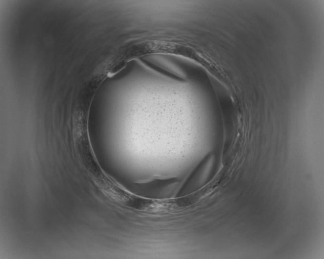 X0000082990323200702160030