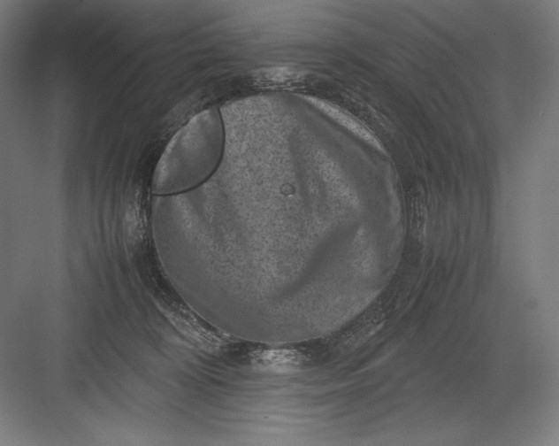 X0000082990324200702160030