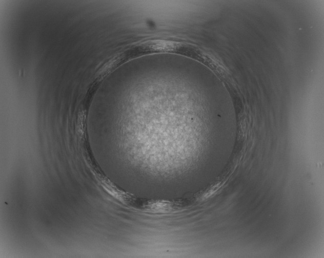 X0000082990325200702160030