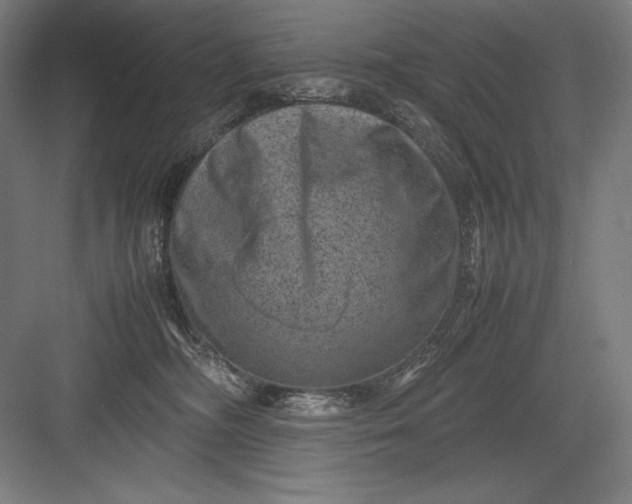 X0000082990326200702160030