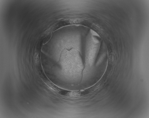 X0000082990327200702160030