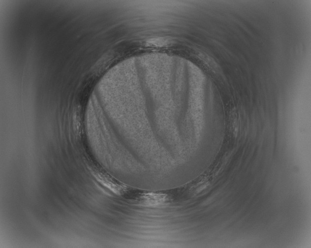 X0000082990328200702160030