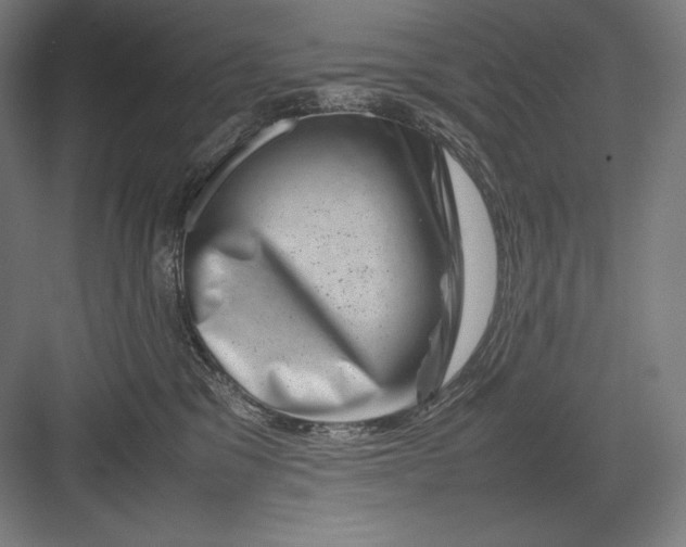 X0000082990329200702160030