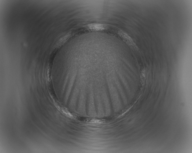 X0000082990330200702160030