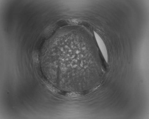 X0000082990331200702160030