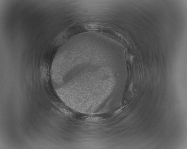 X0000082990332200702160030