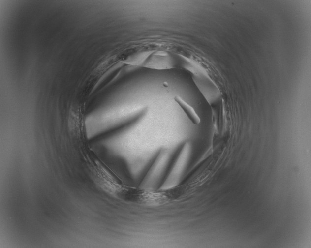 X0000082990333200702160030