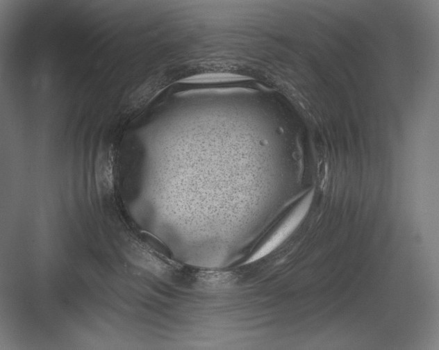 X0000082990334200702160030