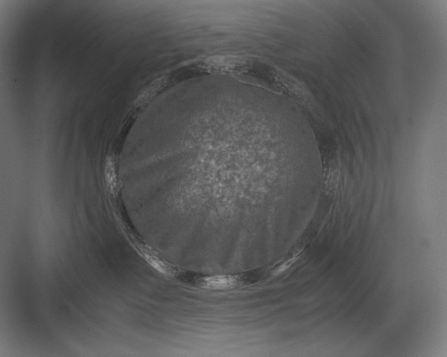 X0000082990335200702160030