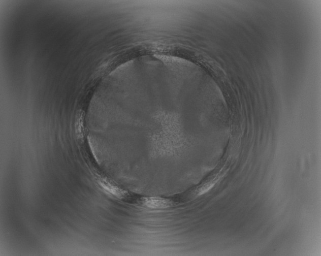 X0000082990336200702160030