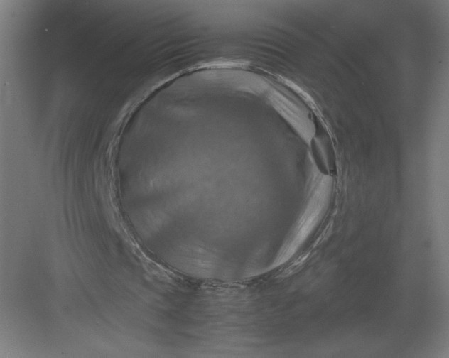 X0000082990337200702160029