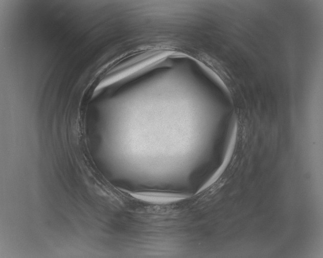 X0000082990338200702160029