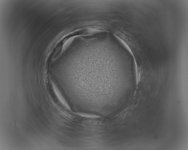 X0000082990339200702160029