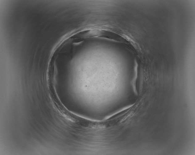 X0000082990340200702160029